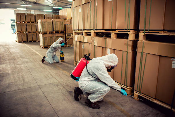 Best Pest Prevention Services  in Wright, WY