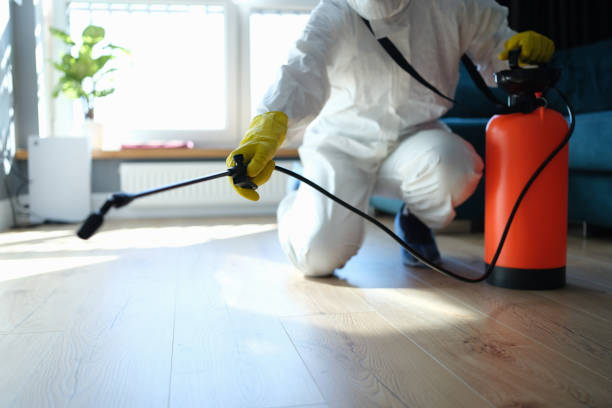 Best Pest Control Treatment  in Wright, WY