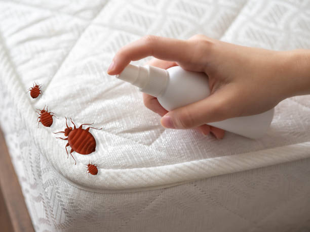 Best Pest Inspection Near Me  in Wright, WY